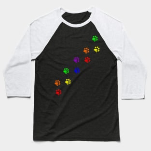 Rainbow Gay Pride Pet Paws Baseball T-Shirt